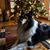 Myriam Loureiro's profile image