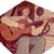 Steve Cordova's profile image