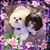 Tondea Powell Philpott's profile image