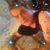 Jose H. Colon's profile image