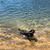Catherine Anne Seal's profile image