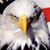 Shirley Janini's profile image