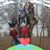 Sharon Philpott's profile image