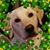 Alysha Hardie's profile image