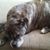 Brenda Horvath's profile image