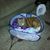 Barbara Gezelman's profile image