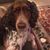 Karen Shannon's profile image