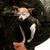 Claudia Urey Ordonez's profile image
