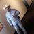Juan Carlos Lucio's profile image