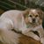 April Cawthon's profile image