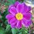 Tara Golladay Dellinger's profile image