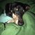 Lori Burns's profile image