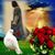 Pajaro Torres's profile image