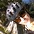 Kim Wescott Anderson's profile image