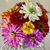 Durelle Zacharias's profile image
