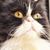 Heike Obergantschnig's profile image