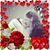 ElizaBeth Bellanti's profile image