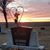 Connie Bitner's profile image
