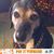 Carla Bookie's profile image