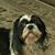 Donna Baker Insco's profile image