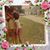 Theresa Engstler-Ames's profile image