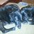 Rhonda Woodall's profile image