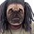 Sterling Guedez's profile image