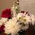 Carolyn Dean Monroe's profile image