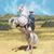 Garth Wheeler's profile image