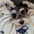 Sharon Oatman's profile image