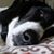 Sharon Myers Andersen's profile image