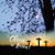 Mary Grier Bogrett's profile image
