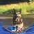 Eva Ploerer's profile image