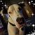 Laura Fahey Hron's profile image