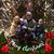Cheryl Ufford Petz's profile image