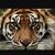 Kimberly McDonald Todd's profile image