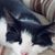 Robert Buckwald's profile image
