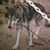 Marilyn Herbst-Calvert's profile image