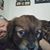 Peter Sickeri's profile image