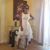 Xenia Bryan's profile image