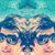 Mohammad Reza Shaeri's profile image