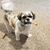 Jennifer Caudill's profile image