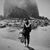 Ericka Herzog's profile image