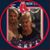 Ann Vorro's profile image