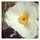 Courtney S.'s profile image
