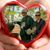 James Easly Vandenburg's profile image
