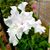 Judy Brown's profile image