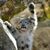 Shawn Leopard's profile image