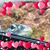 Patti Grigsby's profile image