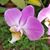 Terri McNeill's profile image
